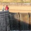 Novih 1.000 komada potočne pastrmke obogatit će riblji fond Miljacke