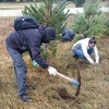 Igman bogatiji za 5.000 sadnica, kiša nije omela vrijedne volontere