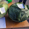 Najteža glavica futoškog kupusa ima čak 6,70 kilograma