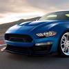 Shelby 1000 je Mustang samo za stazu