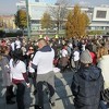 Inicijativa "ODMAH" traži hitnu primjenu Zakona o dobrobiti i zaštiti životinja