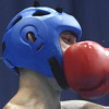 Deseti kick box turnir "WAKO Grand Prix BiH" u februaru na Ilidži