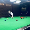 Faris Vučkić pobjednik 1. kola Snooker lige BiH u Sarajevu
