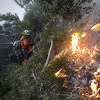 Snažni vjetrovi šire požare u Californiji, evakuirano 200.000 osoba