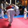 TDK Novi Grad Sarajevo najuspješniji taekwondo kolektiv u BiH