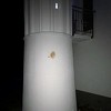 Uhapšene dvije osobe zbog bacanja svinjske iznutrice na banjalučku džamiju