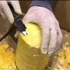 Lisabon: U svježim ananasima pronađeno 745 kg kokaina