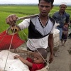 Odgođen povratak Rohinja muslimana iz Bangladeša u Mijanmar