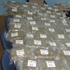 Granična policija BiH spriječila krijumčarenje 38,9 kilograma marihuane