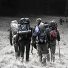 Netflixov "The Ritual" obećava uzbudljivu planinarsku horor priču