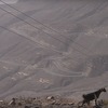 Ujedinjeni Arapski Emirati dobili najduži zipline na svijetu