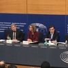 Predstavljena Strategija: BiH bi uz neprekidan napor mogla postati kandidat za EU