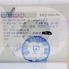 Mladen Ivanić ušao na Kosovo koristeći zvaničnu vizu države koju ne priznaje