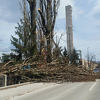 Sarajevo: Snažan vjetar oborio stabla, avioni nisu mogli sletjeti na aerodrom