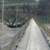 Plutajuće stablo prijeti da sruši viseći pješački most kod Kaknja