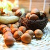 Nutella uskoro samo od italijanskih lješnjaka