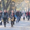 U FBiH prošle godine zaposleno 98.977 osoba, bez posla ih ostalo 75.911