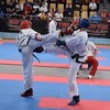 Svraka osvojio srebrnu, Džinović bronzanu medalju na ITF taekwondo prvenstvu