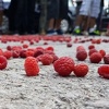 Uzgajivači smilja i malina pred odlučujućom sezonom, ali i država mora raditi svoj posao