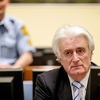 Danas počinje žalbeni pretres u predmetu protiv Radovana Karadžića