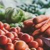 Izvoz organskih proizvoda iz BiH se udvostručio, najveći potrošači Njemačka i Italija