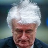 Radovan Karadžić na žalbenoj sjednici: Srbi su u BiH djelovali u samoodbrani