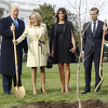 Trump i Macron posadili hrast ispred Bijele kuće, večera sa suprugama na planini Vernon