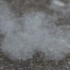 Patite li od alergija: Nosite masku kada izlazite vani i što kraće boravite u prirodi