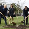 Nestalo stablo koje su ispred Bijele kuće zasadili Macron i Trump