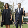 Hrast koji su posadili Trump i Macron odnesen u karantin