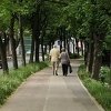 Prvi maj u Zenici: Centar grada pust, izletnici okupirali izletišta Smetovi i Bistričak