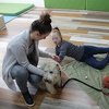 Iako pomažu u liječenju odraslih i djece, terapijski psi u BiH ne mogu ući u škole i bolnice