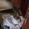 Sve češći napadi zmija u blizini kuća i zgrada u Sarajevu