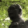 Aleksa Šantić i današnja "kriza identiteta": Mostarski ili srpski, nikako bošnjački i hrvatski