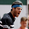 Del Potro izbacio Čilića i zakazao polufinale Roland Garrosa s Nadalom