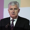 Čović ide na proslavu članstva Hrvatske u EU: Lobirat ću za moju domovinu BiH