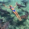 Manekenku ujela ajkula dok je na Bahamima pozirala za Instagram
