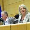 SDA i SBB se tek jučer sjetili da su imenovali SNSD-ovca za Bradarinog zamjenika
