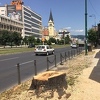 Posječena stara stabla na Dolac Malti u Sarajevu, uskoro sadnja novih