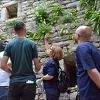 Na zidinama Starog grada Srebrenika identifikovana stenoendemska bosanska zvončika