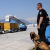 Turska državljanka pokušala ući u BiH s krivotvorenim pasošem kojeg potražuje Interpol