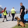 Tri osobe uhapšene na Međunarodnom aerodromu Sarajevo