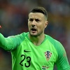 Nastavak osipanja Vatrenih: I Danijel Subašić se oprostio od hrvatske reprezentacije