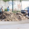 Inspektori naložili da kurbanska koža iz Vogošće hitno bude odvezena