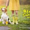 Promocija odgovornog vlasništva pasa: Dogs Trust organizuje druženje "Kraj ljeta"