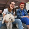Dogs Trust na Dobrinji promovisao odgovorno vlasništvo pasa i udomljavanje