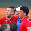Hrvatska se plasirala u finale Davis Cupa, u novembru protiv Francuske
