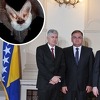 Članovi Predsjedništva zaštitili šišmiše u BiH