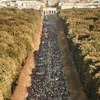Više od 242.000 ljudi u Njemačkoj protestovalo protiv ekstremne desnice