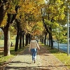 Miholjsko ljeto u BiH još uvijek traje, natprosječno toplo vrijeme do sredine naredne sedmice